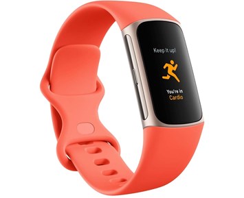 Fitbit Charge Coral Champagne Gold NetOnNet