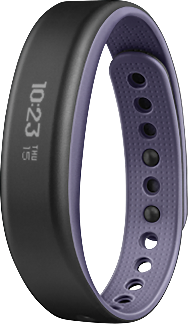 Garmin Vivosmart Large Purple | NetOnNet